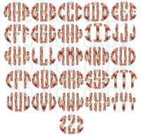 Print to Order- DTF Orange Plaid Monogram